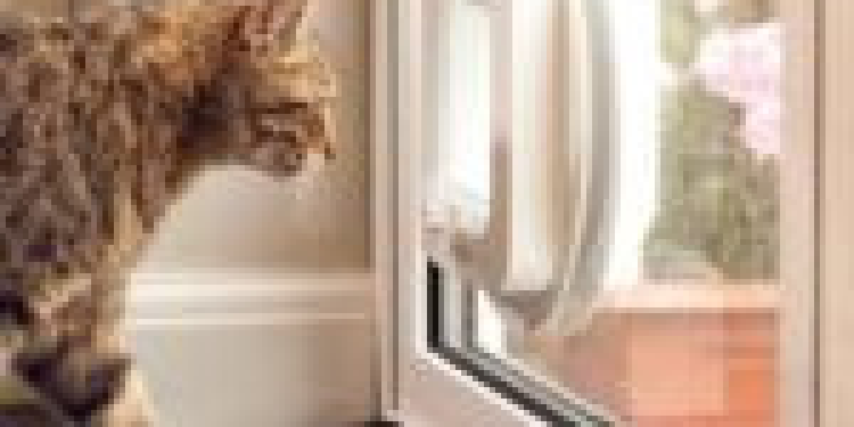The 10 Most Terrifying Things About Local Cat Flap Installer