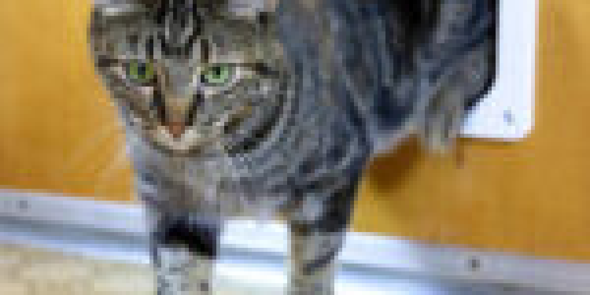 10 Things You've Learned About Preschool That Can Help You In Cat Flap Installer Company